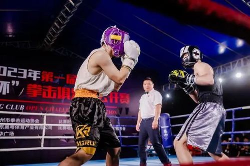 拳力出擊 廣州拳擊俱樂部公開賽火熱舉行，展現賽事組織新高度