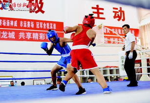 市運會拳擊比賽圓滿落幕，拳擊運動賽事組織與管理經驗總結