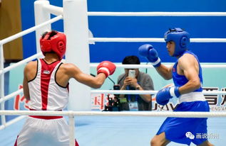 忻州圓滿承辦青運會拳擊賽事 展現拳擊運動組織新風貌