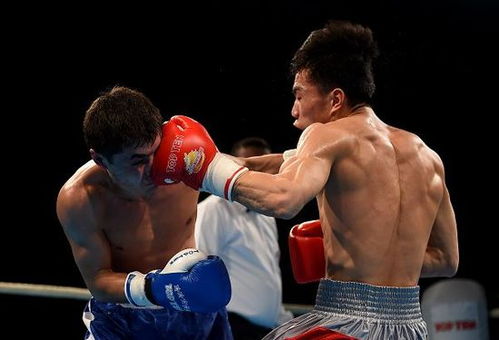 拳擊世錦賽中國雙雄晉級四強，明晨決戰(zhàn)奧運資格