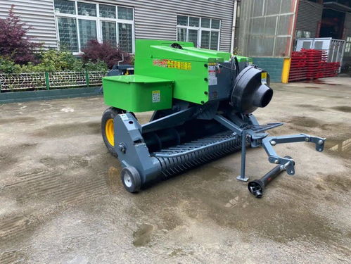 飼料成本占養(yǎng)殖70%？節(jié)本增效的實用策略