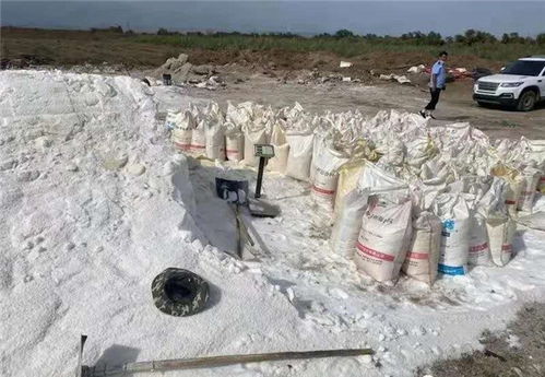 假鹽泛濫，五百余噸地下鹽場被摧毀